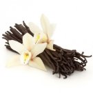 Vanilla Beans Premium Quality Tahitian and Planifolia (Lower GRADE B)