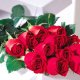 Love & Romance