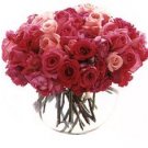 Two Dozen Pink Roses