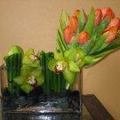 Exquisite Tulips & Orchids