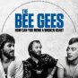 BEE GEES - A KICK IN THE HEAD (Manufactured on Demand)1973 - 3 CD 2 DVD