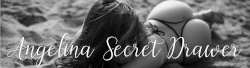 angelinasecretdrawer