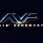 Xenomorph Grid (AvP)