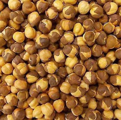 Fresh Roasted Chana with Shell /Chickpea/Kala Chana/Chane/500 gm-Best Quality