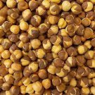 Fresh Roasted Chana with Shell /Chickpea/Kala Chana/Chane/500 gm-Best Quality