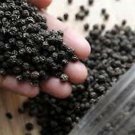 Black Tellicherry Peppercorns  Worldwide (Enjoy Taste)  100 GRAMS