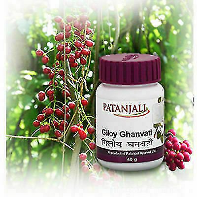 Cold Immunity Jaundice Liver Disorders Dengue Giloy Ghan Vati 40g