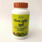 Divya Shuddhi Churna 100gm for Constipation, Acidity, Gas, Indigestion