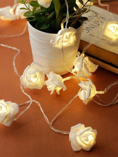 Aesthetic Home Solutions String Lights get within 7 days through DHL Express