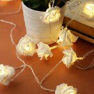 Aesthetic Home Solutions String Lights get within 7 days through DHL Express