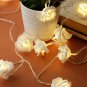 Aesthetic Home Solutions String Lights get within 7 days through DHL Express