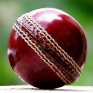 HAND STICHED LEATHER (TESTED GRADE)CRICKET BALLS free shipping