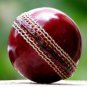 HAND STICHED LEATHER (TESTED GRADE)CRICKET BALLS free shipping