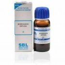 SBL Boerhaavia Diffusa Mother Tincture Q 30ml