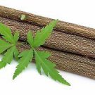 Neem Chew sticks for healthy teeth and gums free shipping 15 pc