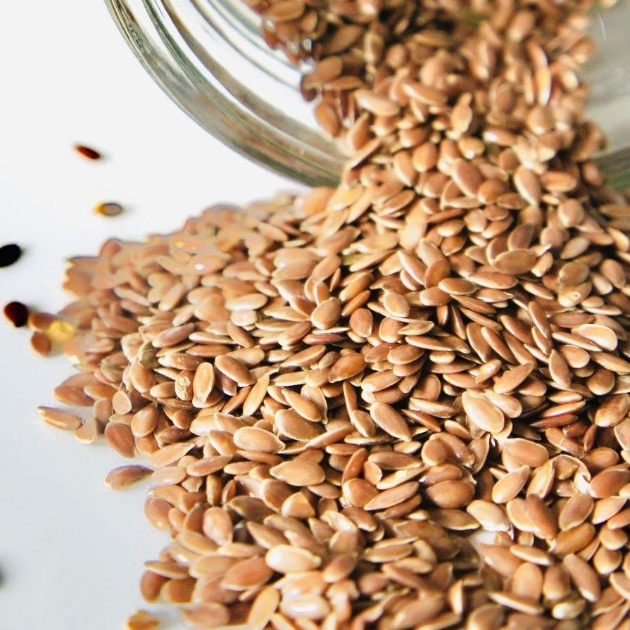 Flax Seeds RAW Pack ( 100 GM )