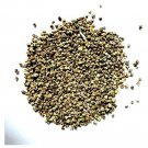 Kapebonavista Palak Beej Desi 50 Seed Indian Spinach Raw Herbs 1 no.s Pack Of 1