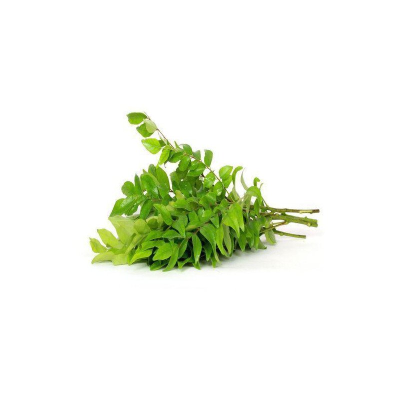 CURRY LEAVES CURRY PATTA ( 100 GM )