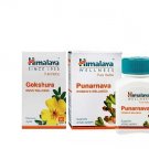 Himalaya Wellness Combo Punarnava and Gokshura - Pack of 4
