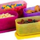 TUPPERWARE - 250 ml Plastic Utility Container  (Pack of 4, Multicolor)