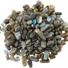 Shubhanjali Labradorite Chips Stone for Vastu Small Grey 100 GM
