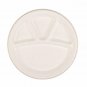 Disposable Plates 4 Compartment 250 Plates Birthday Party Events Use Purpose