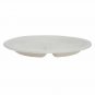 Disposable Plates 4 Compartment 250 Plates Birthday Party Events Use Purpose