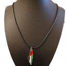Reflections of Palestine: A Silver Framed Map necklace with Stainless Steel