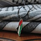 Reflections of Palestine: A Silver Framed Map necklace with Stainless Steel Reflections of Palestine: A Silver Framed Map necklace with Stainless Steel