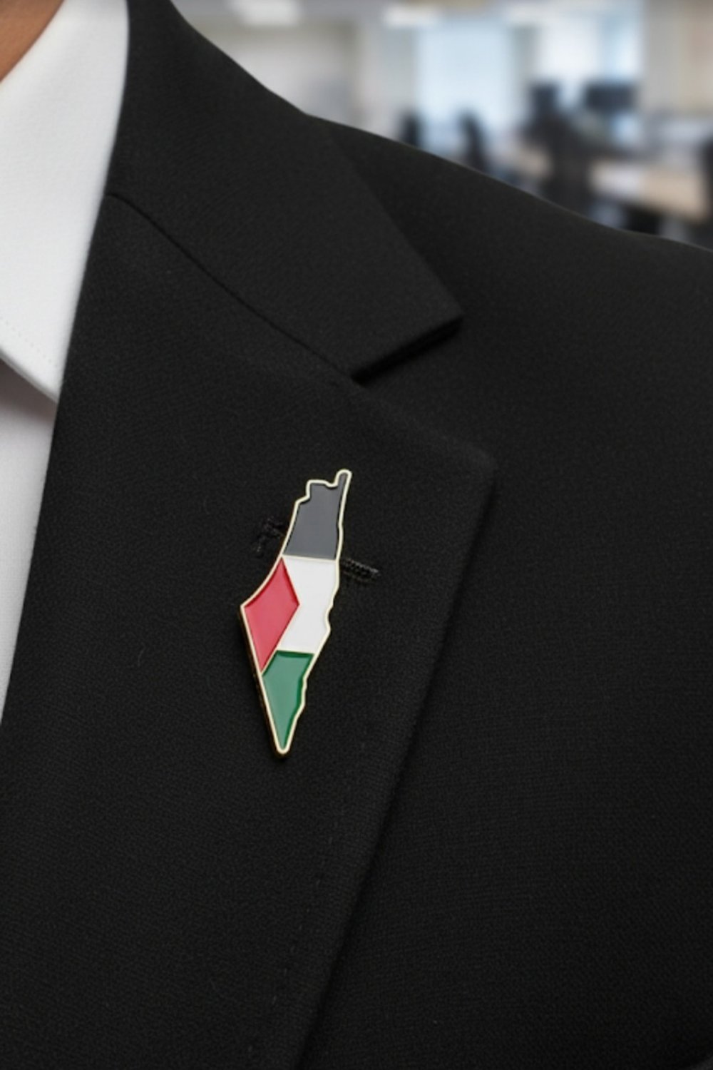 Palestine Brooch colored map design gold frame