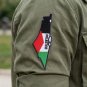 Palestine Map Embroidered Patch Palestinian Flag Iron On/Sew On Badge, 13.5x5cm