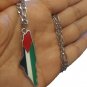 Shimmering Unity: Silver Necklace with Vibrant Palestine Map
