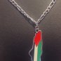 Shimmering Unity: Silver Necklace with Vibrant Palestine Map