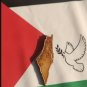 unique piece Fridge magnet  Palestine Map design