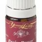 Young Living Essential Oils Brain Power 5 Ml Free Shipping