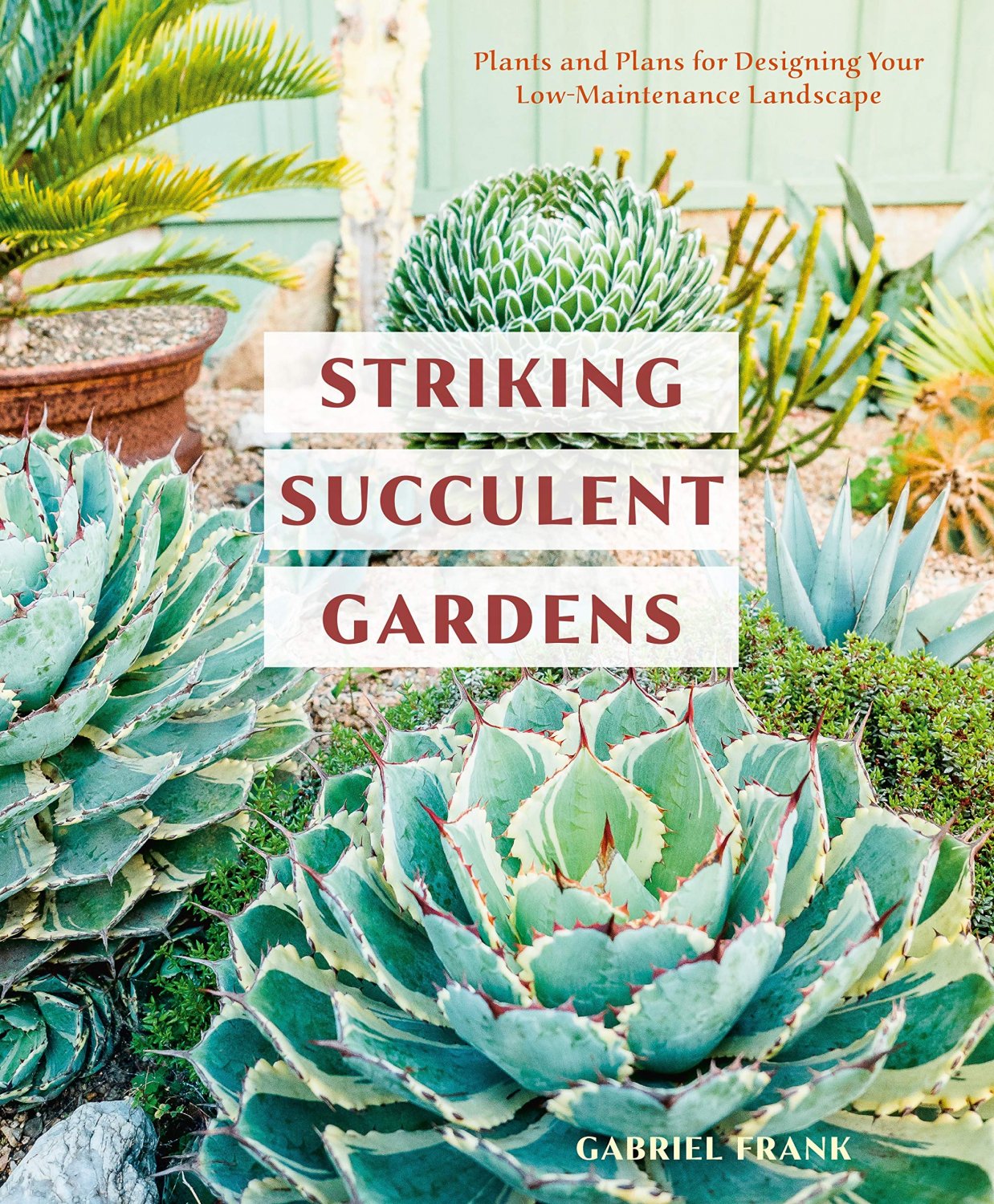 Striking Succulent Gardens: Plants and Plans for Designing Your Low-Maintenance Landscape Paperback