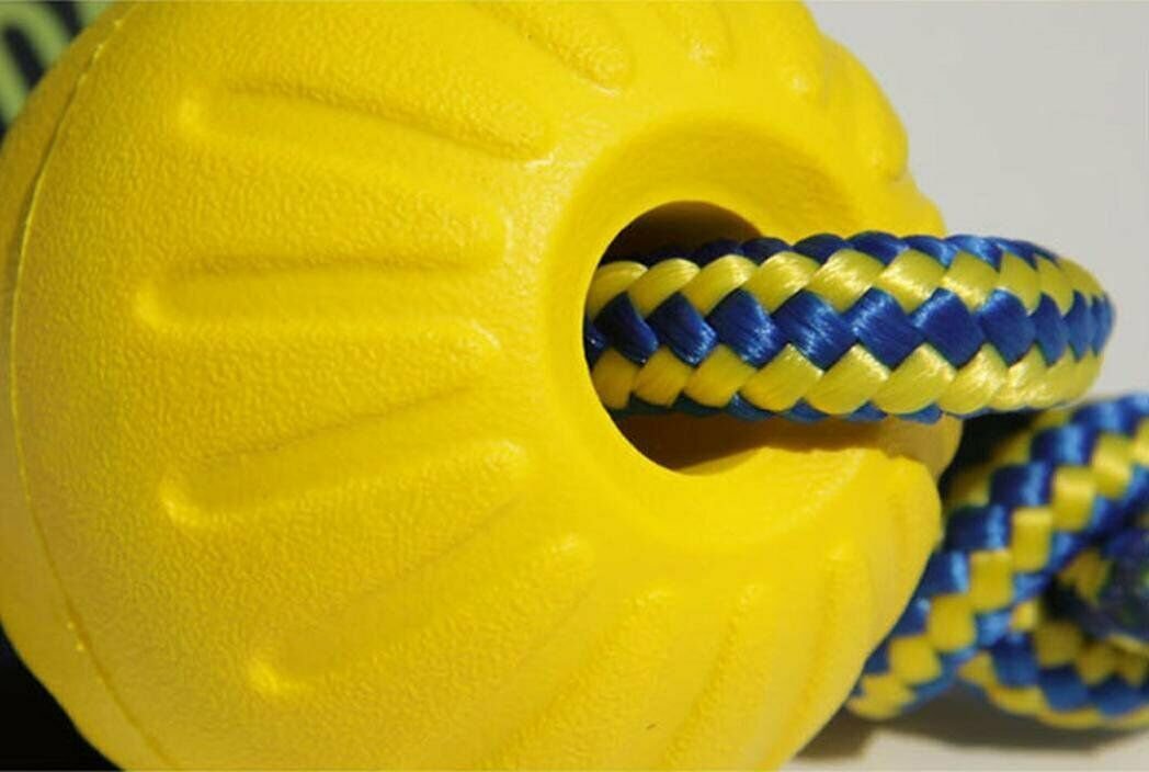 Fun Retrieval Training Ball with Rope Pet Dog Toy