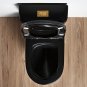 BLACK LUXURY TOILET DESIGN MODEL WITH GOLD LINE - WC