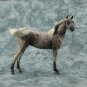Mini Optime by Karen Gerhardt