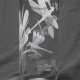 Engraved Glass