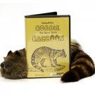 Robbie "The Magic Trick" Raccoon (with Instructional DVD)