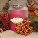Soy Candles