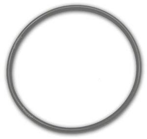 PEUTIER 2pcs R172009 O-Ring For Pentair Model 300/320 Pool