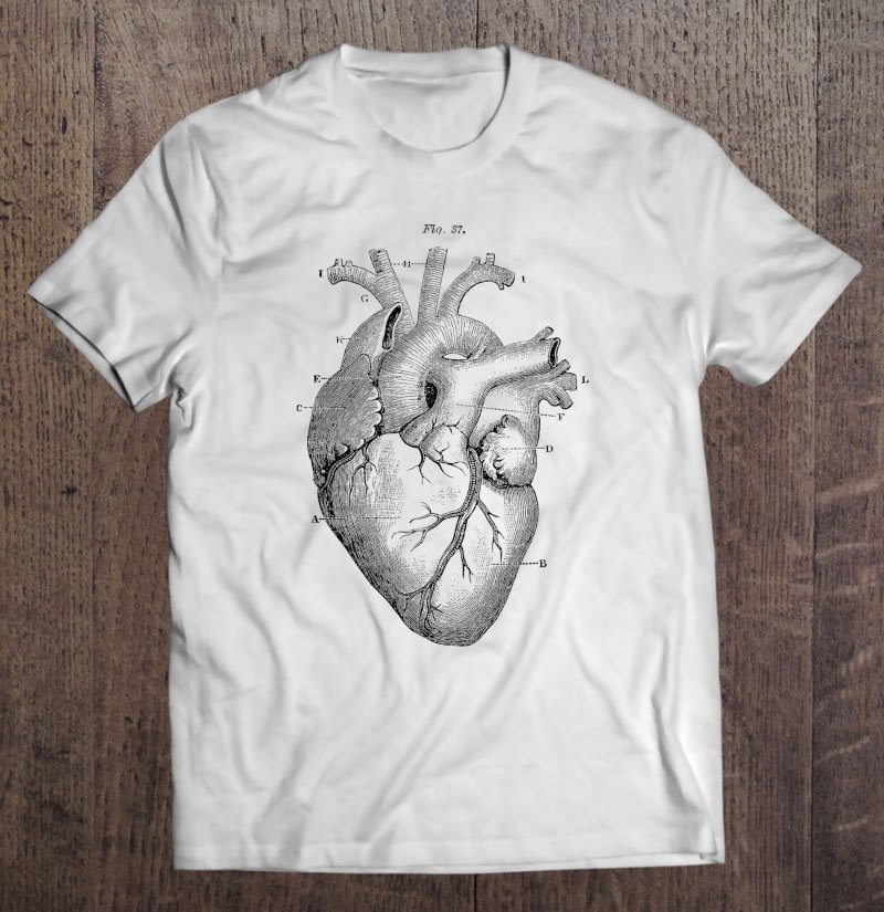 anatomical shirt