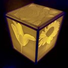Flower Light Box