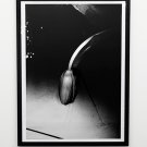 Daido Moriyama – It print #5 Limited Edition of 50 copies A0 size Signed