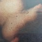 MATERNITY - ITALY - XVII-XVIII CENTURIES - OIL ON CANVAS.