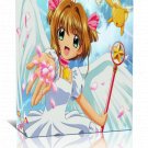 Card Captor Sakura Seasons 1-2 + Movies 1-2 Dual Audio DVD