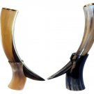 Set of 2 Antique Horn Mug Beer Mug Viking Collectible Home Decorative