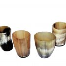 Set of 6 Horn Shot Glass Drinking Beer Viking Collectible Gifting Item